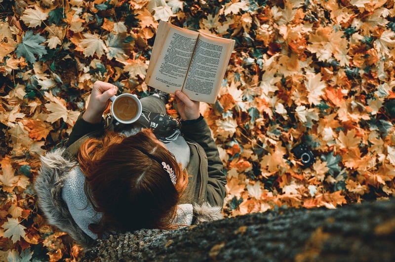 Historical Rewriting Novels